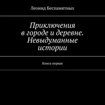 Приключения в городе и деревне. Невыдуманные истории. Книга первая
