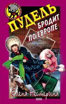 Пудель бродит по Европе