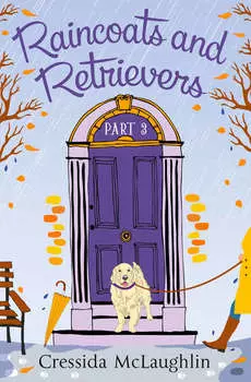 Raincoats and Retrievers