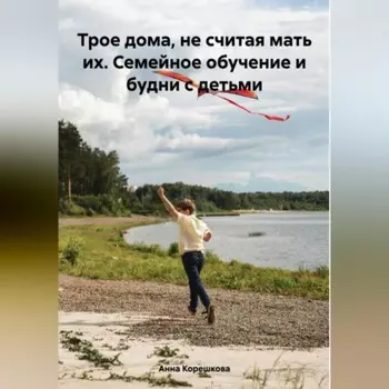 Трое дома, не считая мать их. Семейное обучение и будни с детьми