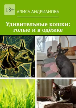 Удивительные кошки: голые и в одёжке. Сказка для взрослых детей