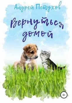 Вернуться домой