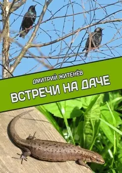 Встречи на даче