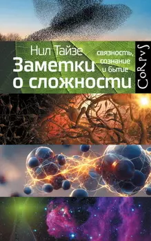 Заметки о сложности. Связность, сознание и бытие