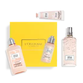 ЦВЕТОЧНАЯ НЕЖНОСТЬ: НЕРОЛИ &amp; ОРХИДЕЯ