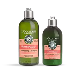 Дуэт Восстановление