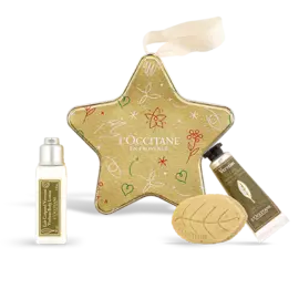 Праздничная звезда «Вербена»