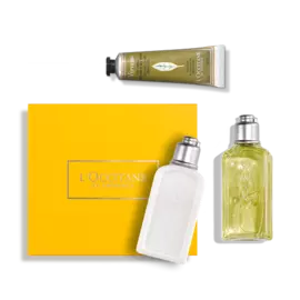 ЯРКИЕ АККОРДЫ СВЕЖЕСТИ