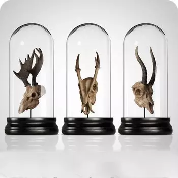 Аксессуар Exhibit