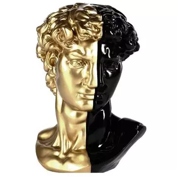 Аксессуар голова Давида Black & Gold