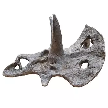 Череп динозавра UNICORNIS