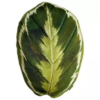 Декоративная подушка Botanical Cushion Calathea Medallion