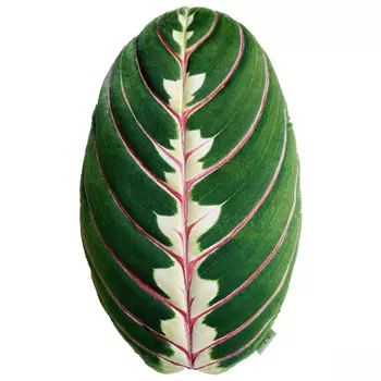 Декоративная подушка Botanical Cushion Maranta Trikolor