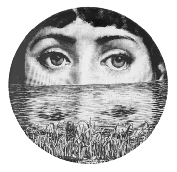 Декоративная тарелка Fornasetti 089