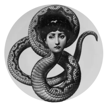 Декоративная тарелка Fornasetti 198