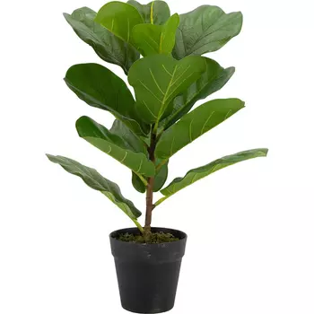 Декоративный искусственное растение Ficus broadleaf