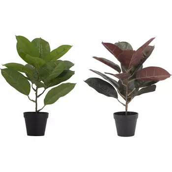 Декоративный искусственное растение Green Alchemy