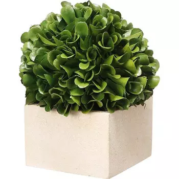 Декоративный искусственное растение Square boxwood