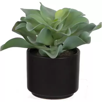 Декоративный искусственное растение Wavy succulent