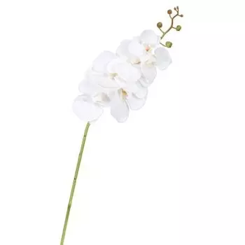 Декоративный искусственный цветок Average White Orchid