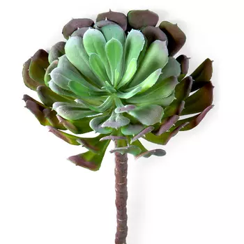 Декоративный искусственный цветок Echeveria