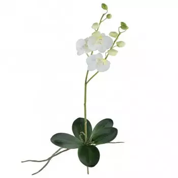 Декоративный искусственный цветок Phalaenopsis
