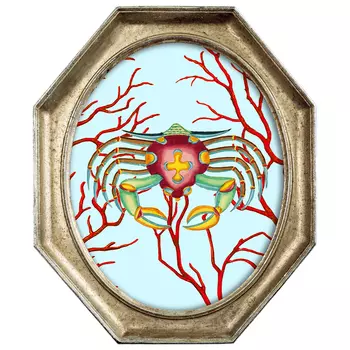 Картина Crab in Coral 2