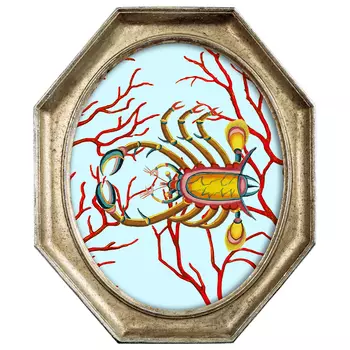 Картина Crab in Coral 3