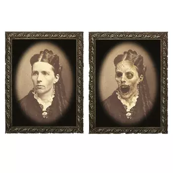 Картина Woman Portrait