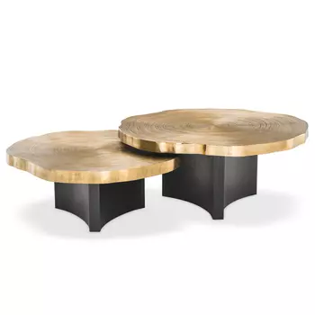 Комплект кофейных столов Eichholtz Coffee Table Thousand Oaks set of 2