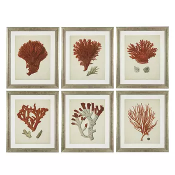 Комплект постеров Eichholtz Prints Antique Red Corals set of 6