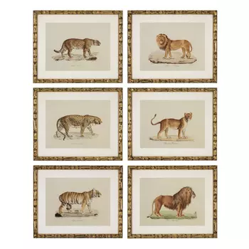 Комплект постеров Eichholtz Prints Lion Tigre Jaguar set of 6