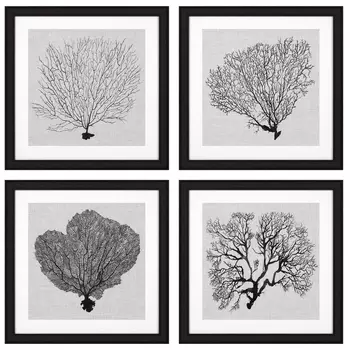 Комплект постеров Eichholtz Prints Shadow Sea Fans set of 4