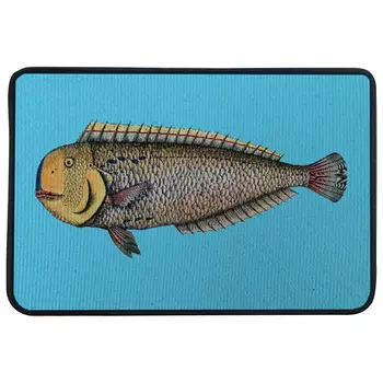 Ковер для прихожей и ванной Fornasetti Lampuga Rug