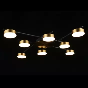 Люстра потолочная светодиодная Delayn