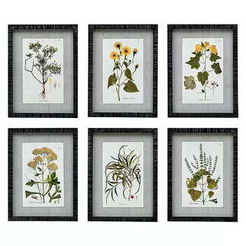 Набор постеров Herbarium Yellow Flowers