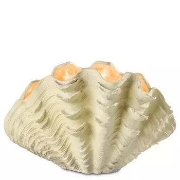 Настольная лампа Table Lamp Tridacna