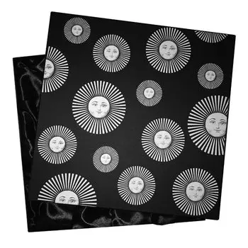 Подарочная коробка для тарелок Fornasetti