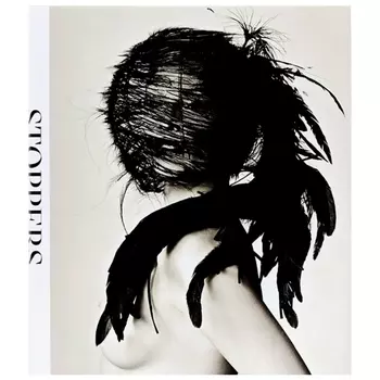 Posnick Phyllis Stoppers Photographs from My Life at Vogue