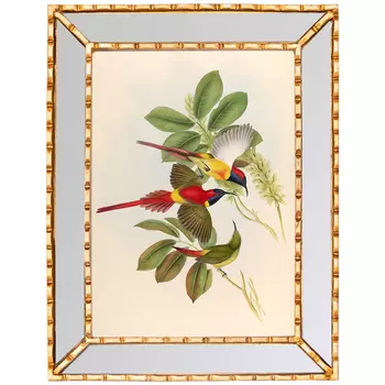 Постер с изображением птиц и цветов в зеркальной раме Blooming Birds Poster