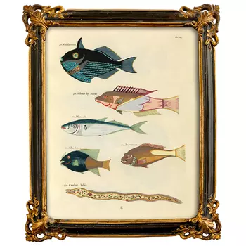 Постер в багетной раме Seabed Print 4