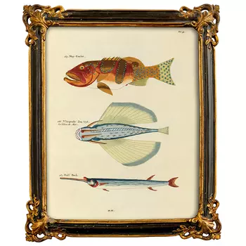 Постер в багетной раме Seabed Print 6