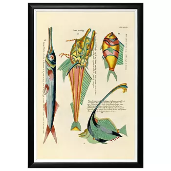 Постер в черной раме Fish Guide 10