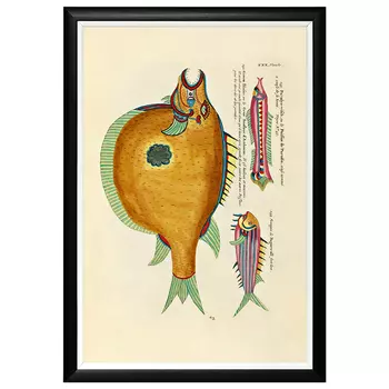 Постер в черной раме Fish Guide 19