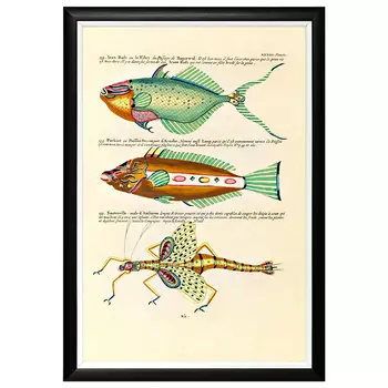 Постер в черной раме Fish Guide 21