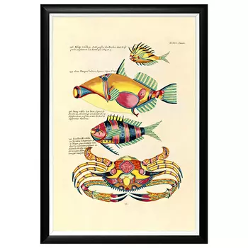 Постер в черной раме Fish Guide 22