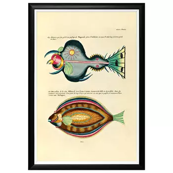 Постер в черной раме Fish Guide 27