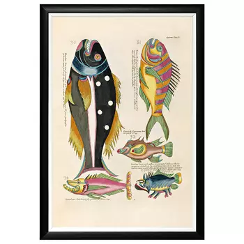 Постер в черной раме Fish Guide 4