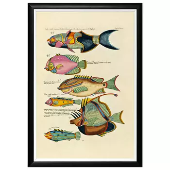 Постер в черной раме Fish Guide 7