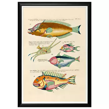 Постер в черной раме Fish Guide 9